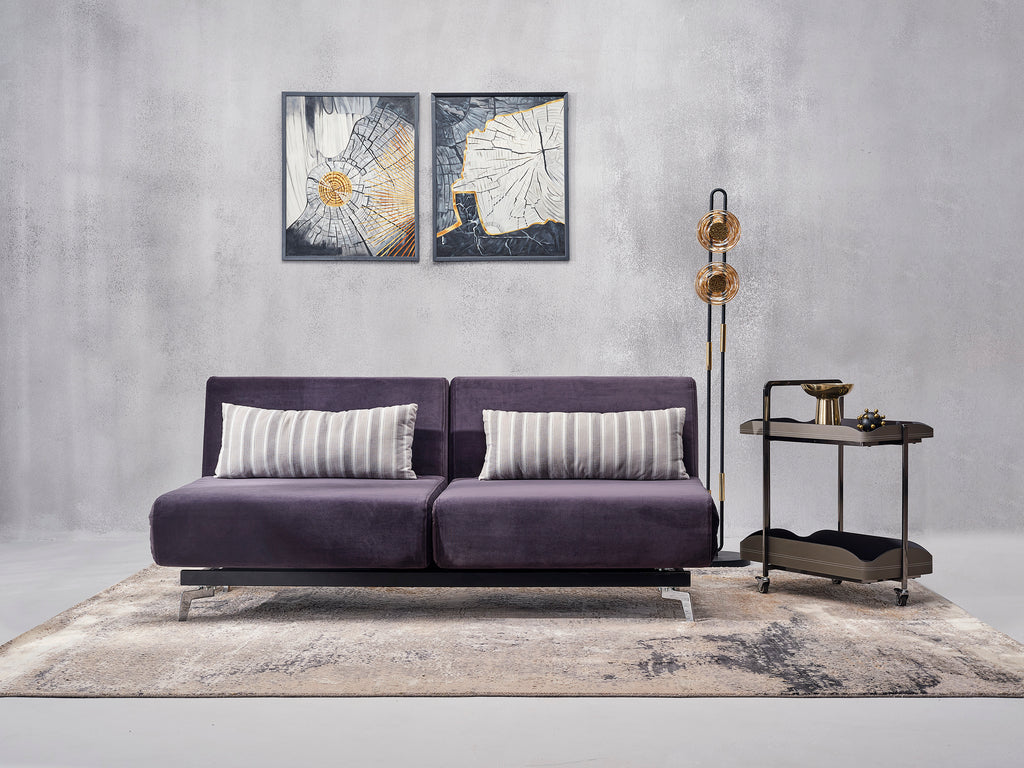 Split Sofa cum Bed