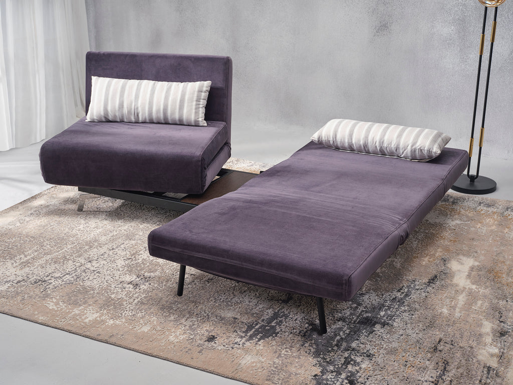 Split Sofa cum Bed