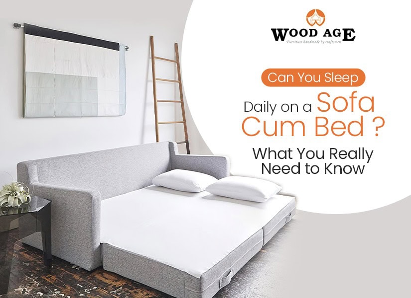 Sofa Cum Bed